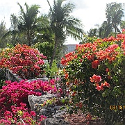 Picture 200